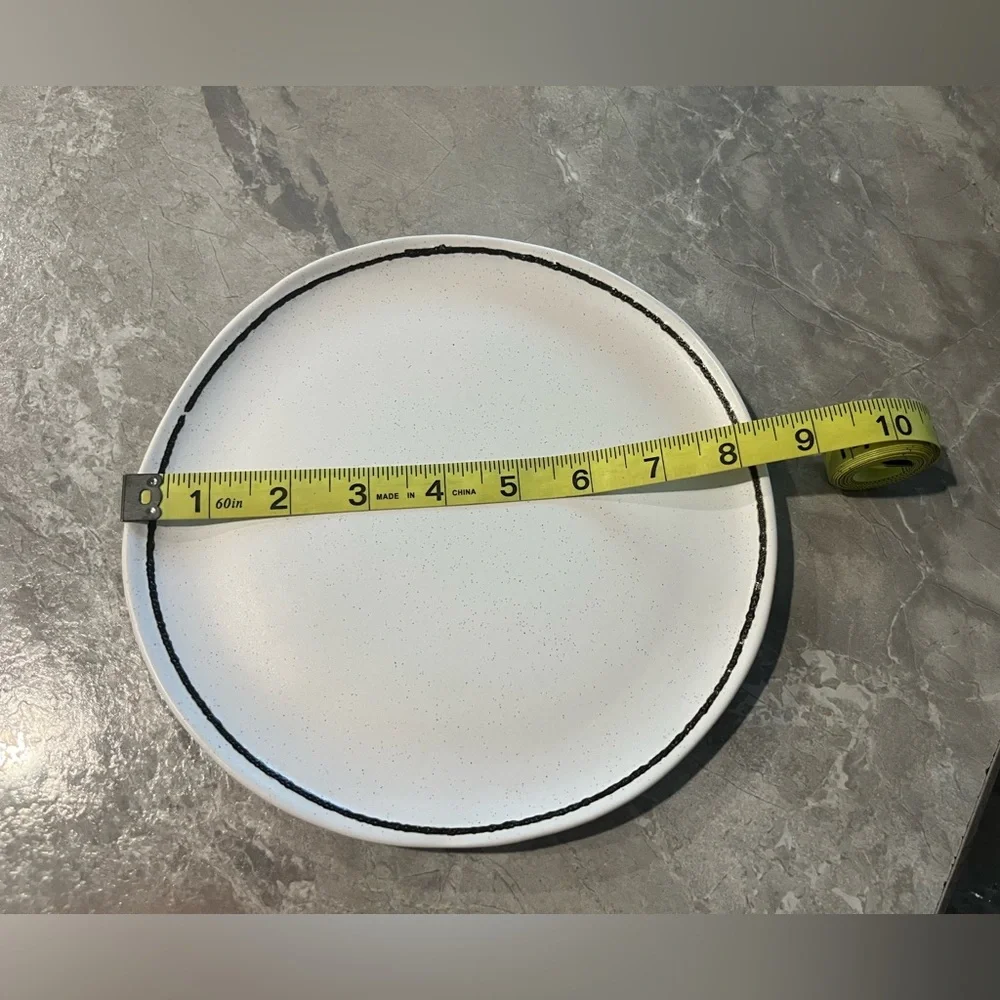 Crate & Barrel “Range” Dinner Plate Set(2)